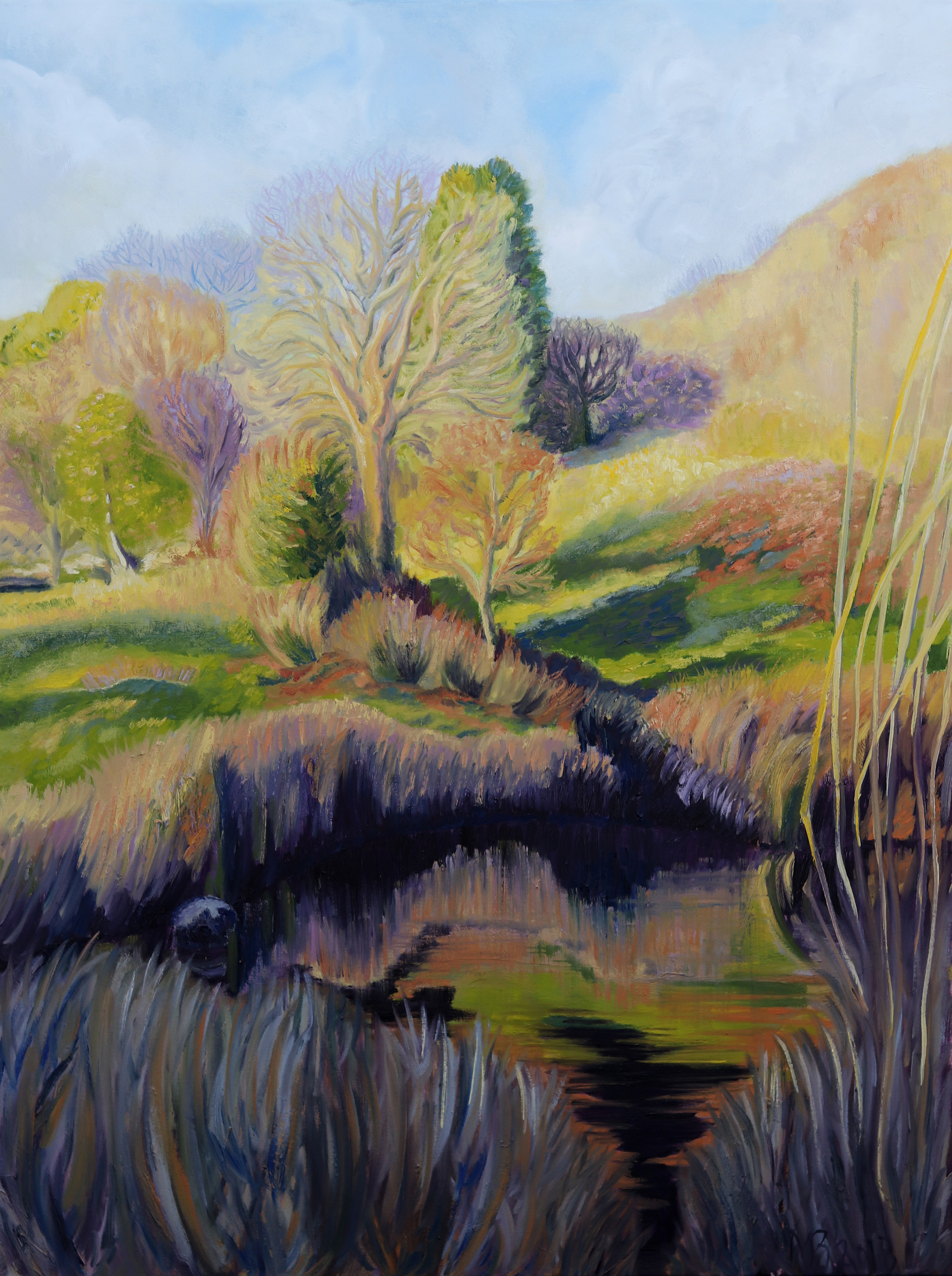 Teign valley in winter by Marina Bowater